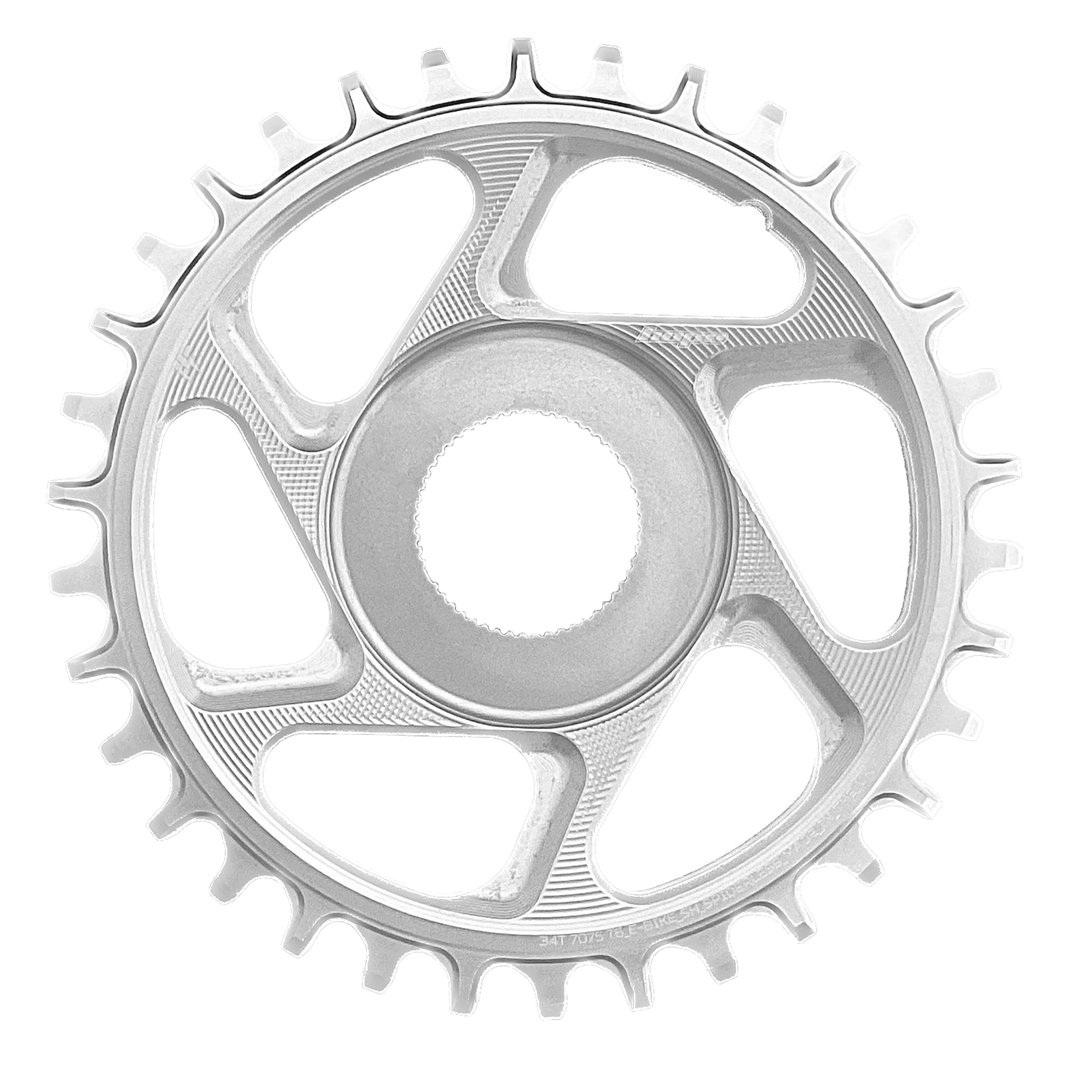 Hope Retainer Ring eBike Chainring Silver