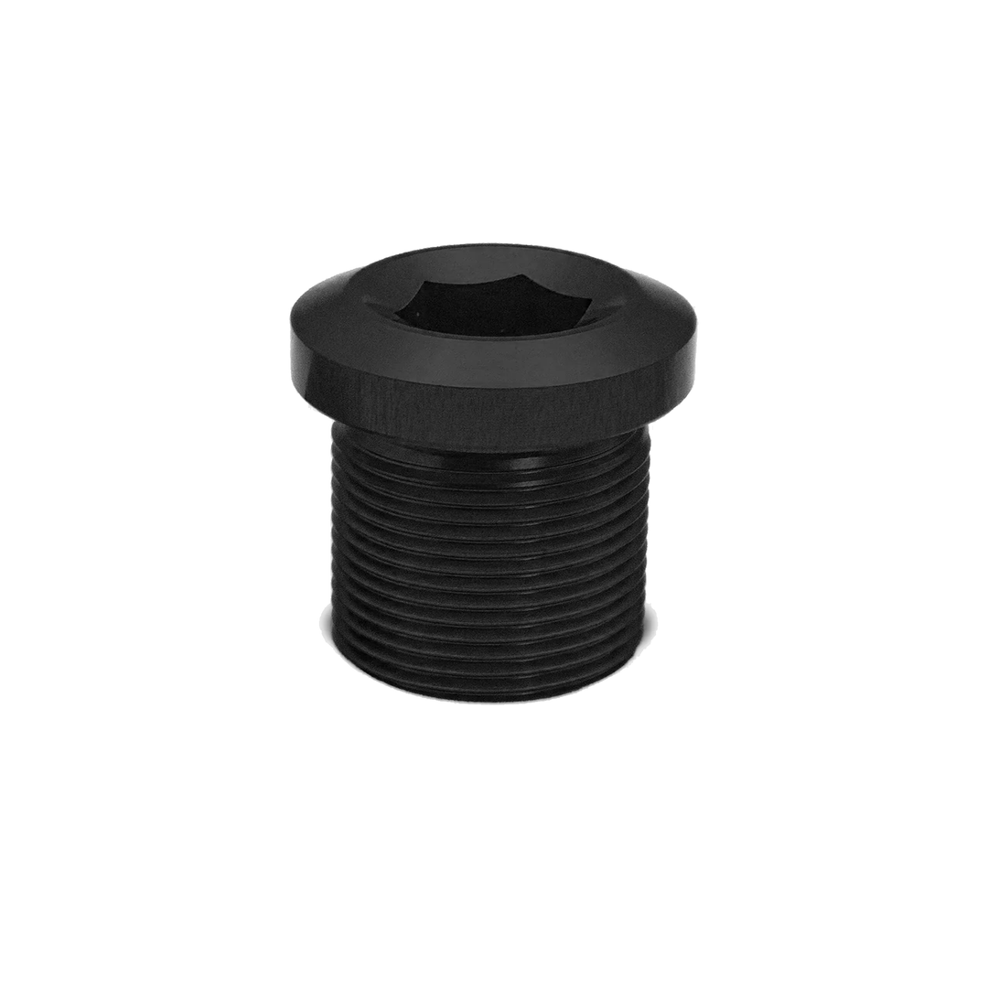 Bosch/ISIS eBike Crank Retaining Bolt Blac