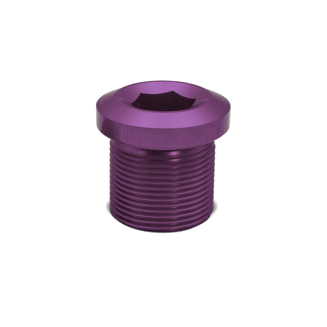 Bosch/ISIS eBike Crank Retaining Bolt Purple