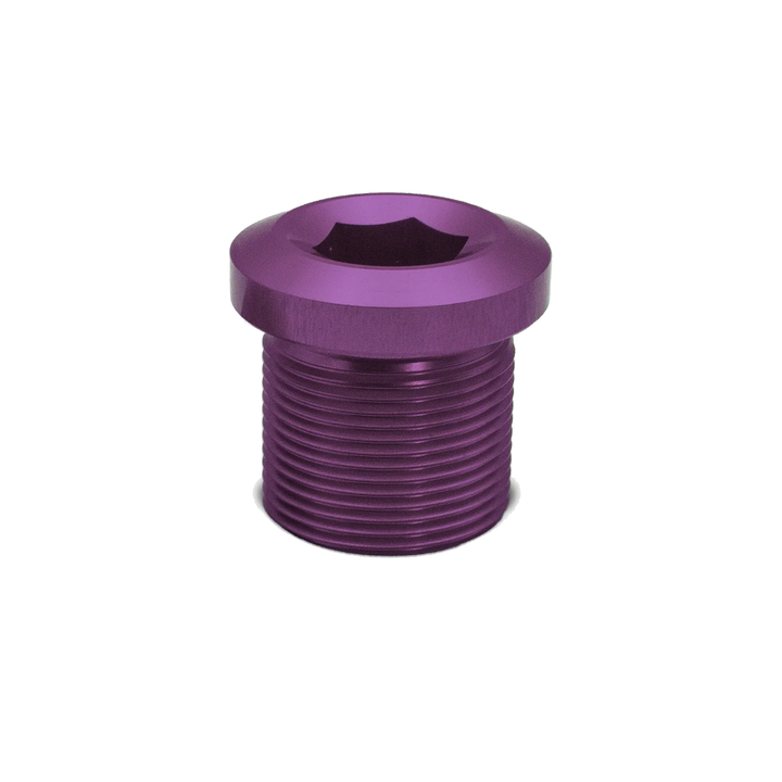 Bosch/ISIS eBike Crank Retaining Bolt Purple