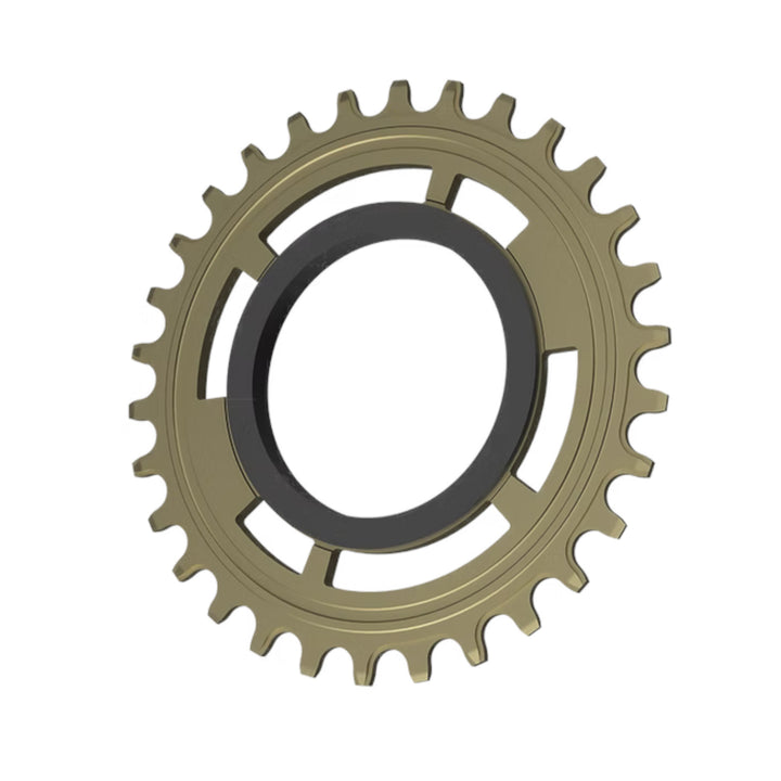 Chain Damper Replacement Chainring