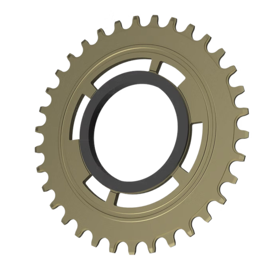 Chain Damper Replacement Chainring