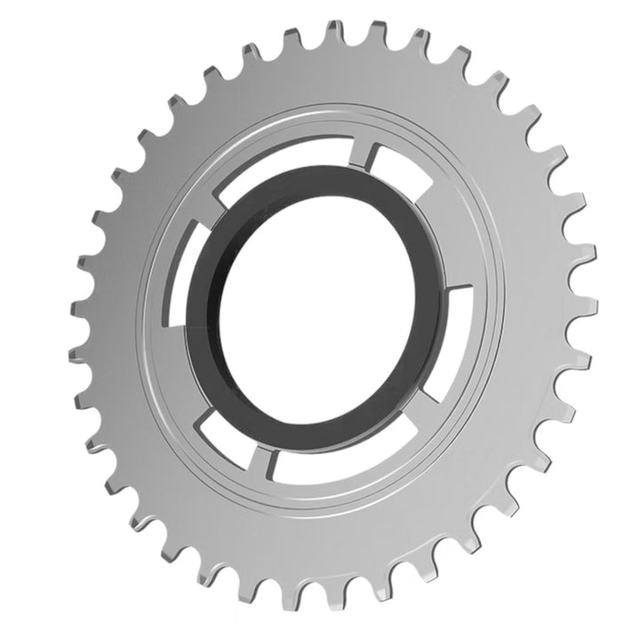 Chain Damper Replacement Chainring