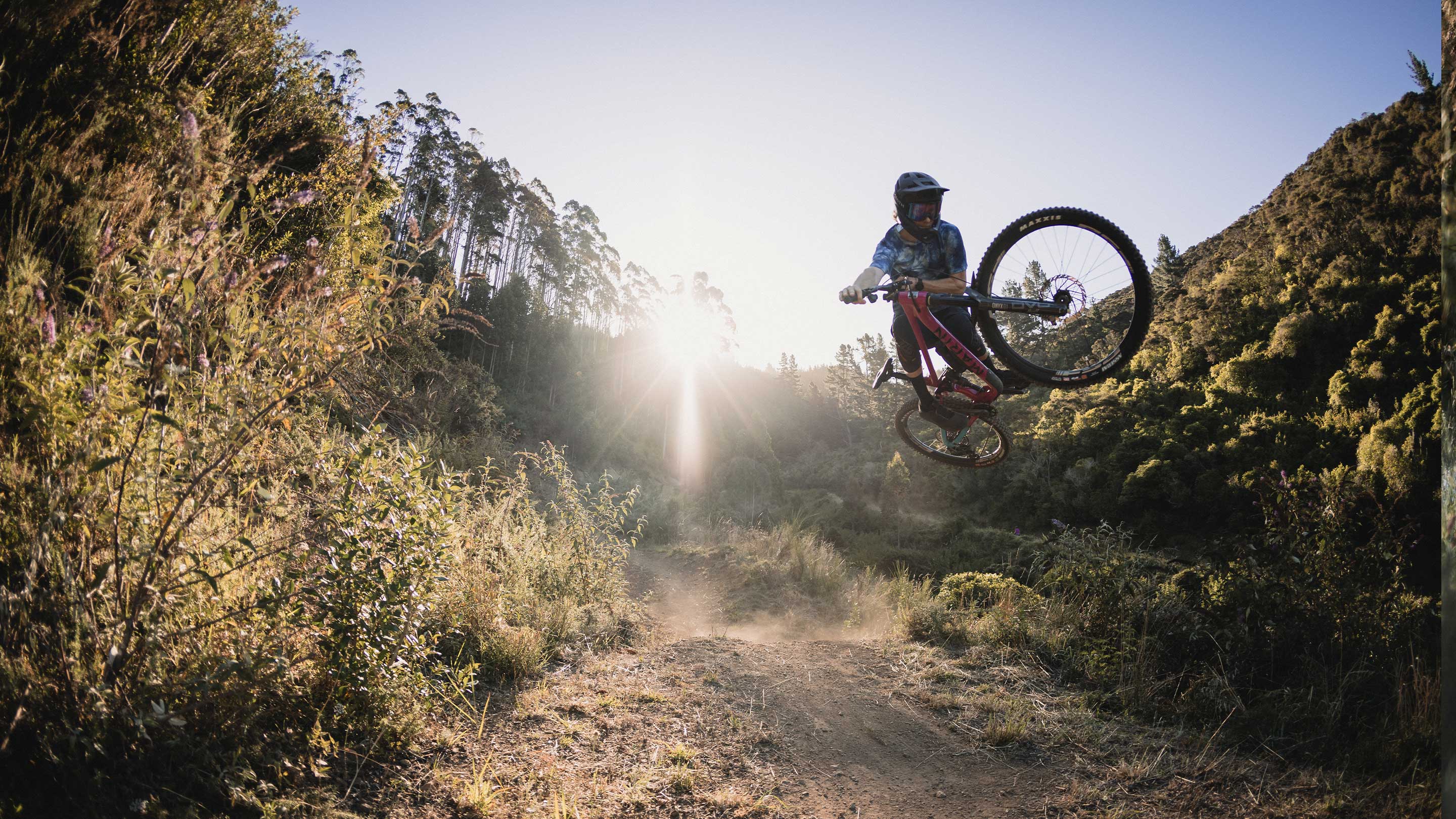 Marin Alpine Trail Mountain Bike