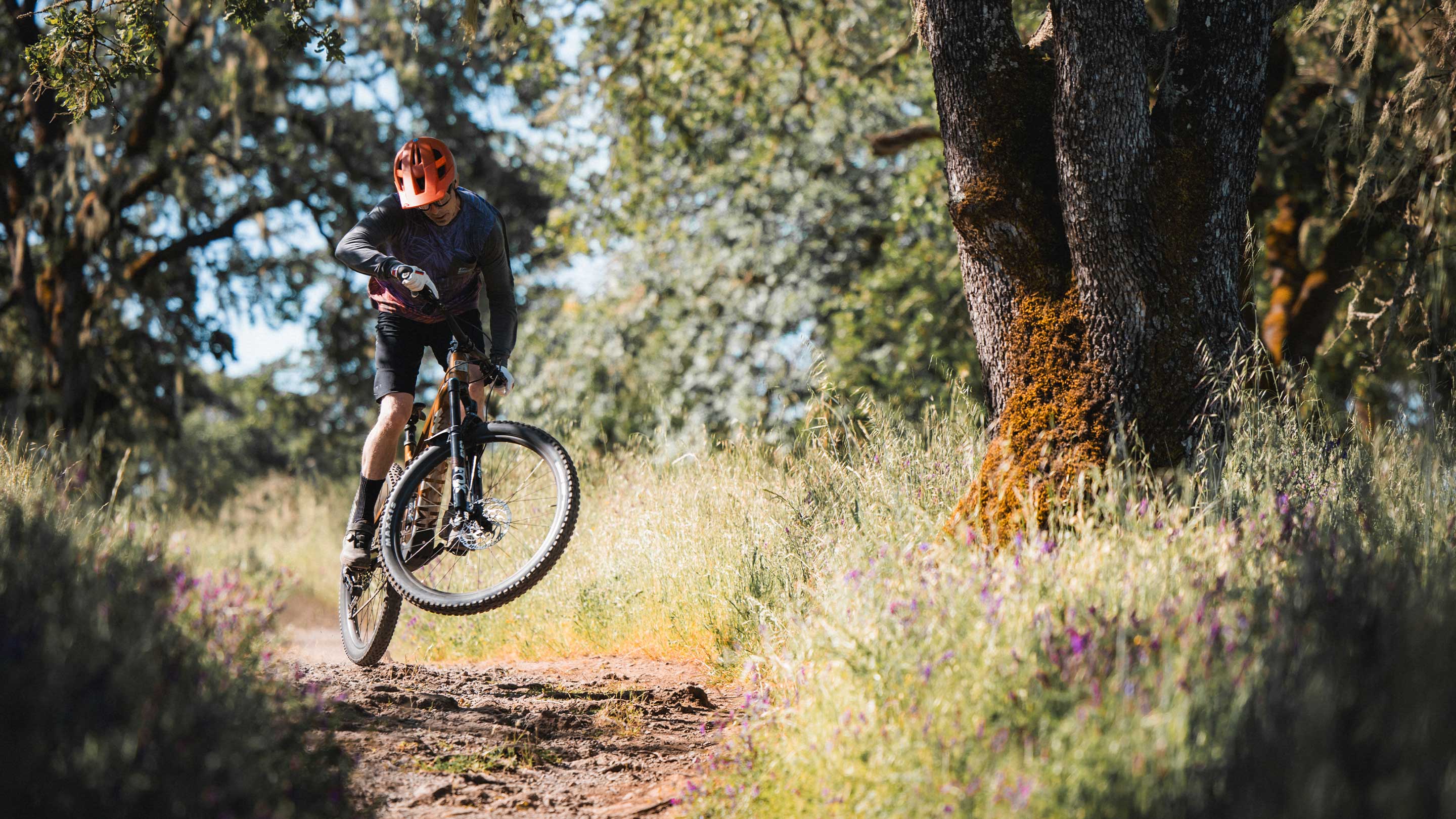 Marin Rift Zone EL eMTB