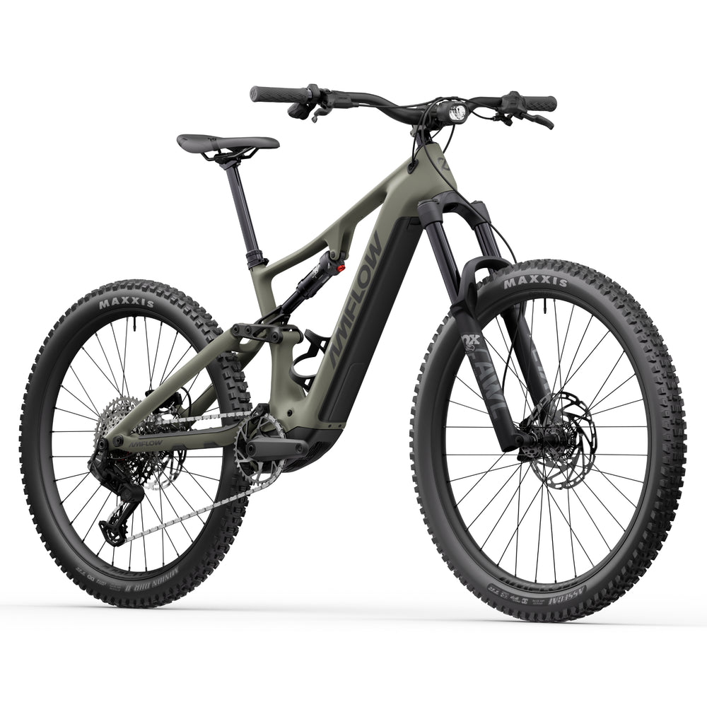 Amflow PR Carbon eBike