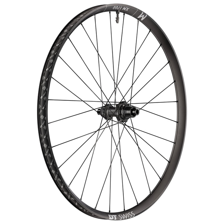 DT Swiss XM1700 Wheels WHDTXM1706R