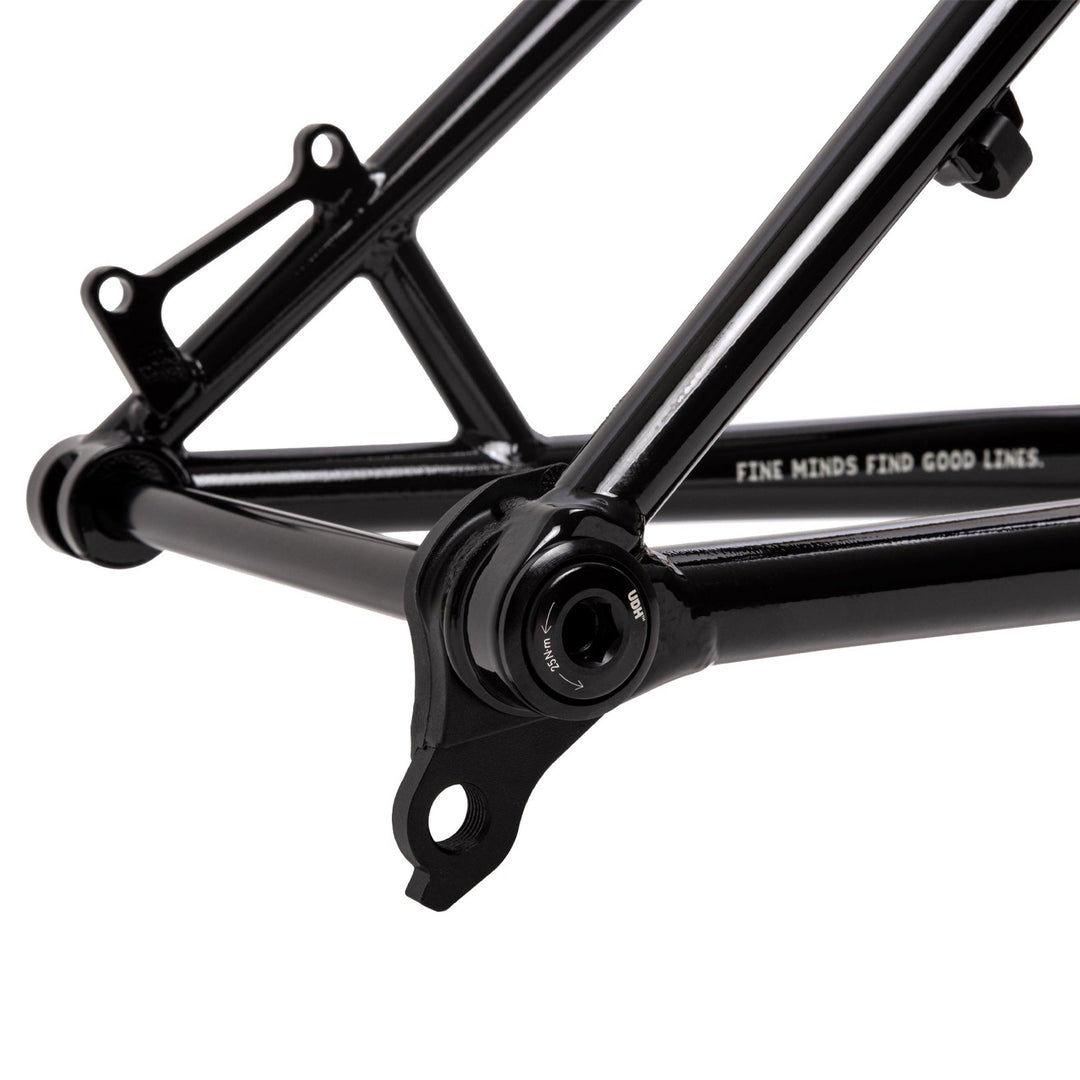 Fairdale Elevator Hardtail Mountain Bike Frame UDH Drop Out