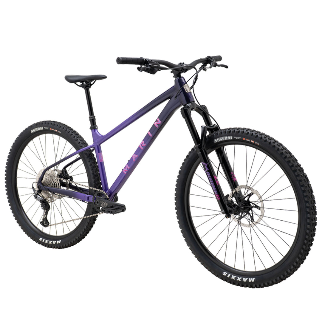 San Quentin 3 29" Bike