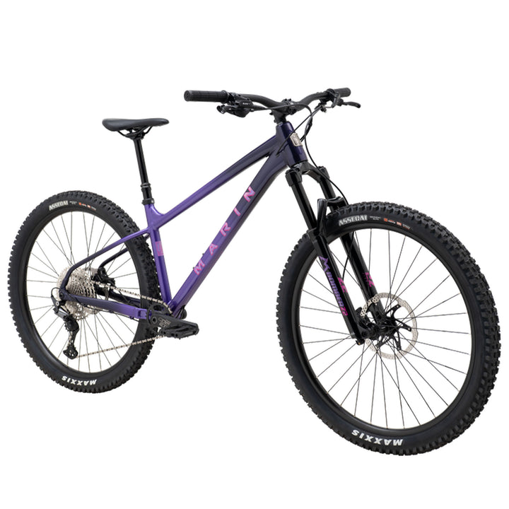 San Quentin 3 29" Bike