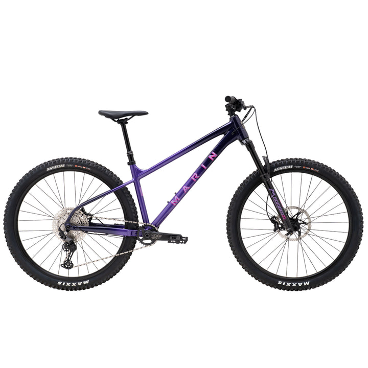 San Quentin 3 29" Bike