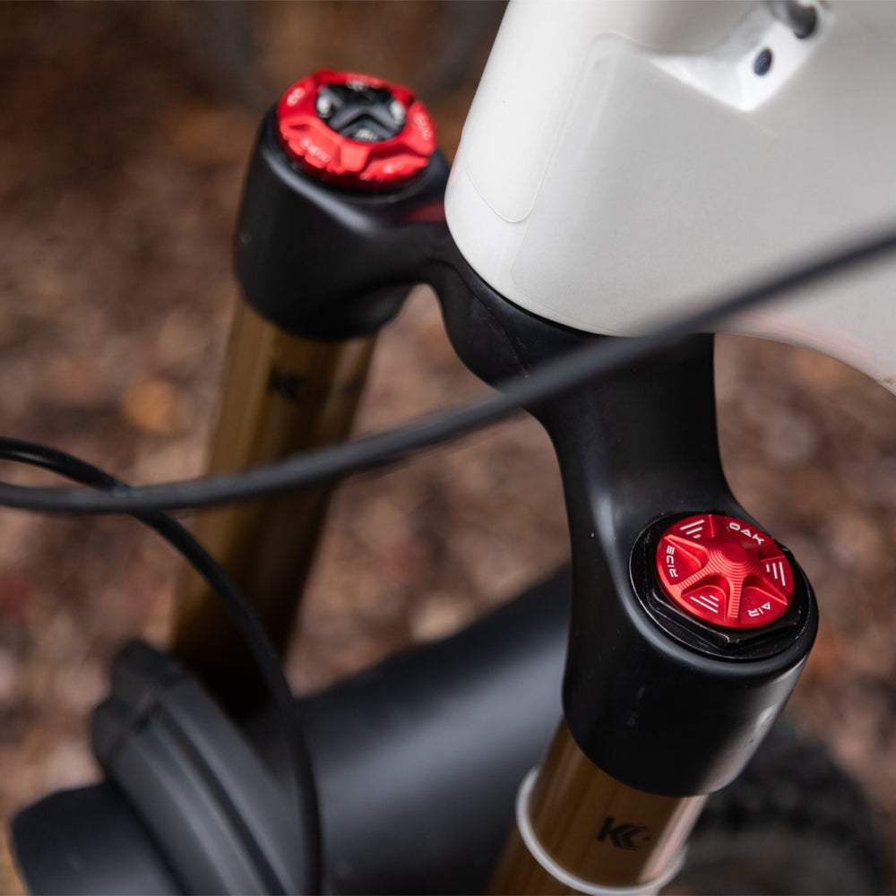Oak Fork Cap Air Red Fitted