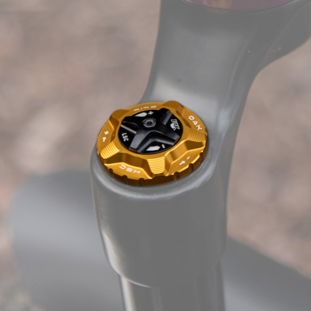 Oak Fork Cap HSC Gold