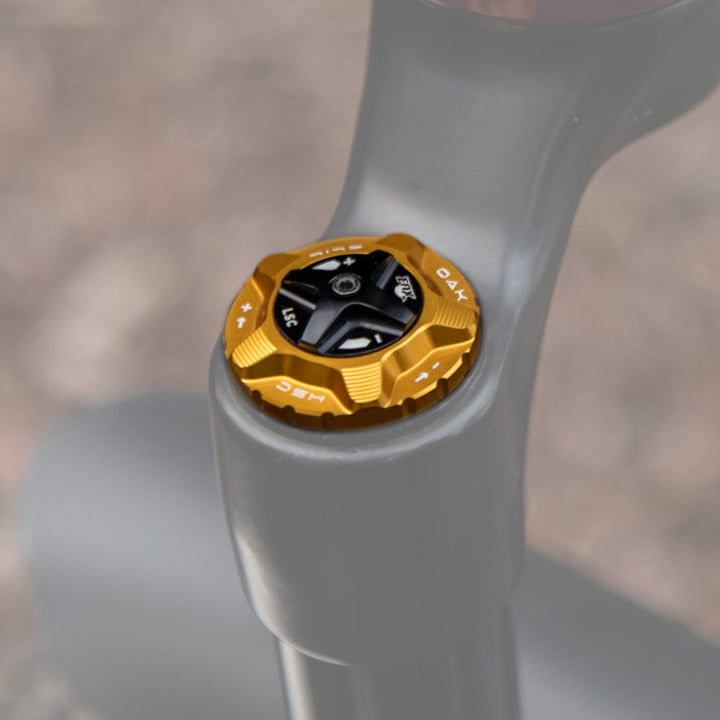 Oak Fork Cap HSC Gold