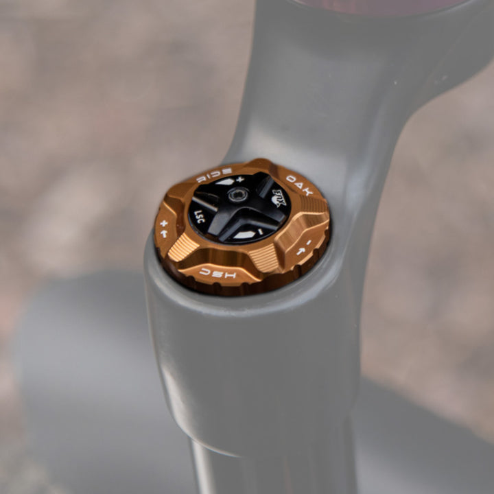 Oak Fork Cap HSC Kash Gold