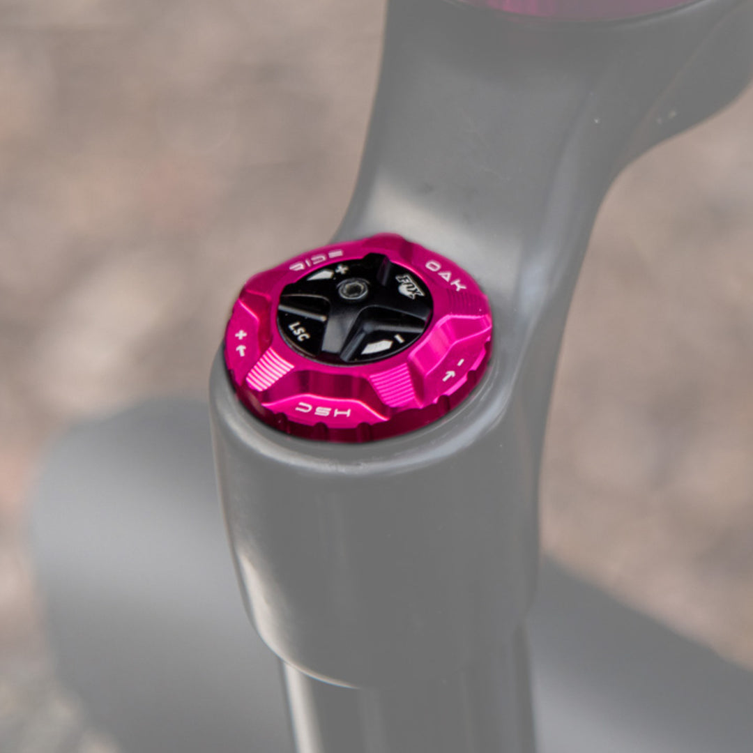 Oak Fork Cap HSC Pink