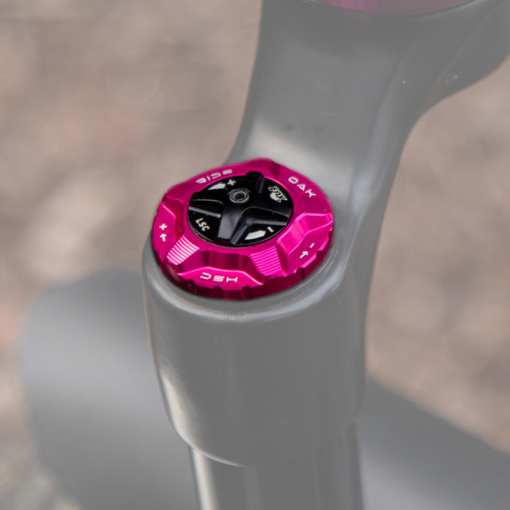 Oak Fork Cap HSC Pink