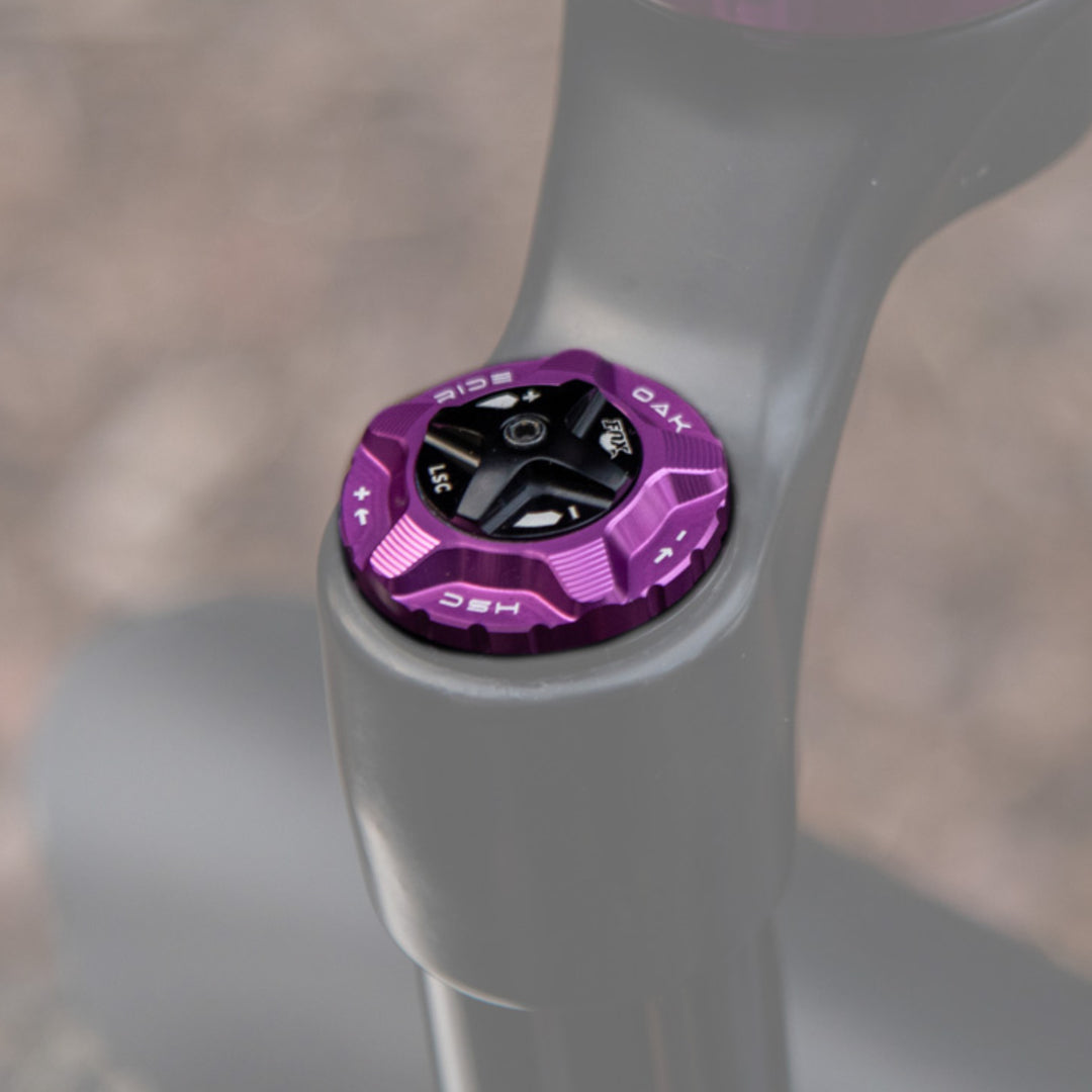 Oak Fork Cap HSC Purple