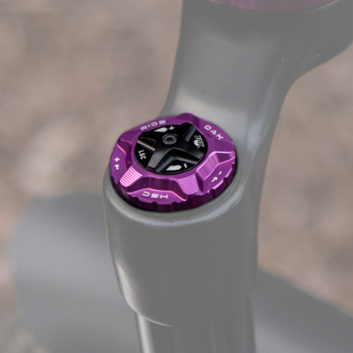 Oak Fork Cap HSC Purple