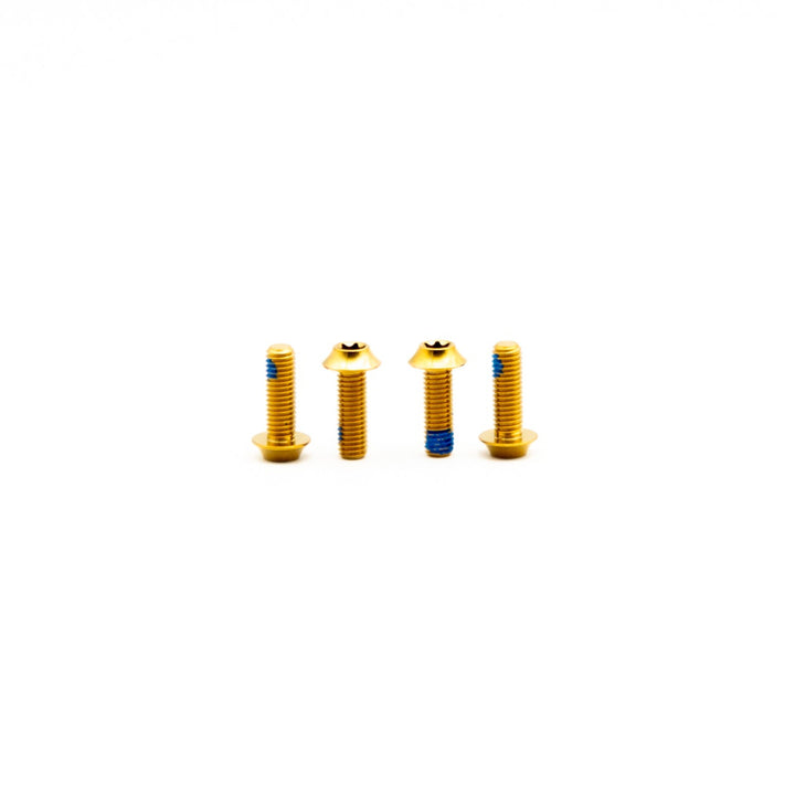 Oak Titanium Bottle Cage Mount Bolts Gold