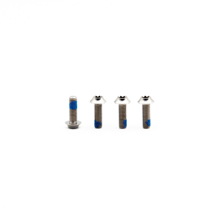 Oak Titanium Bottle Cage Mount Bolts Raw