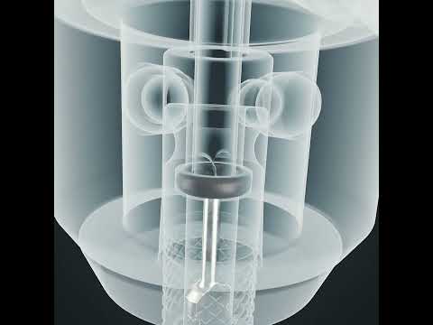 Clik Valve Tubeless Presta Valves