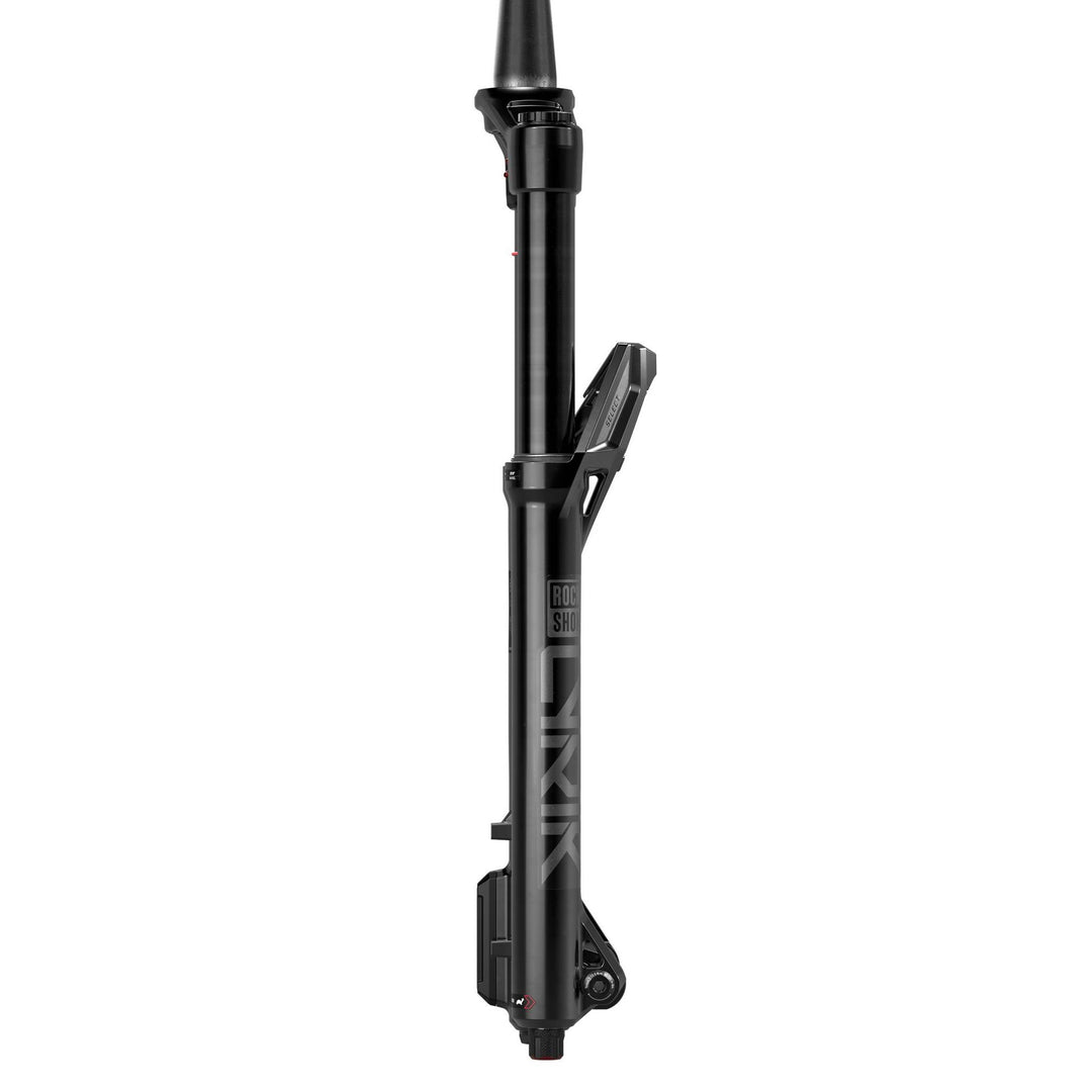 Lyrik Select E1 LinearXL Delta RC Fork Side
