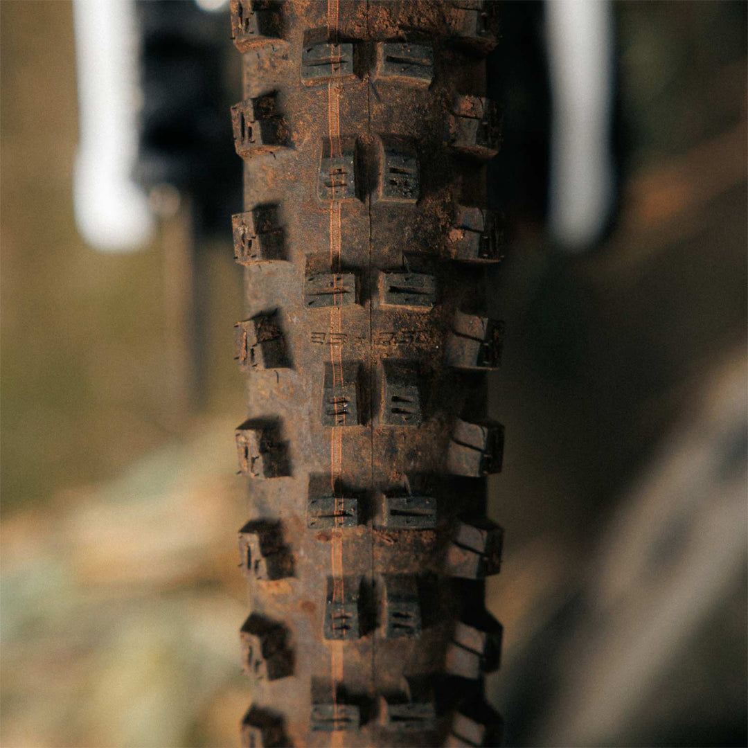 Schwalbe Tacky Chan Gravity Pro TLR Radial Mountain Bike Tyre