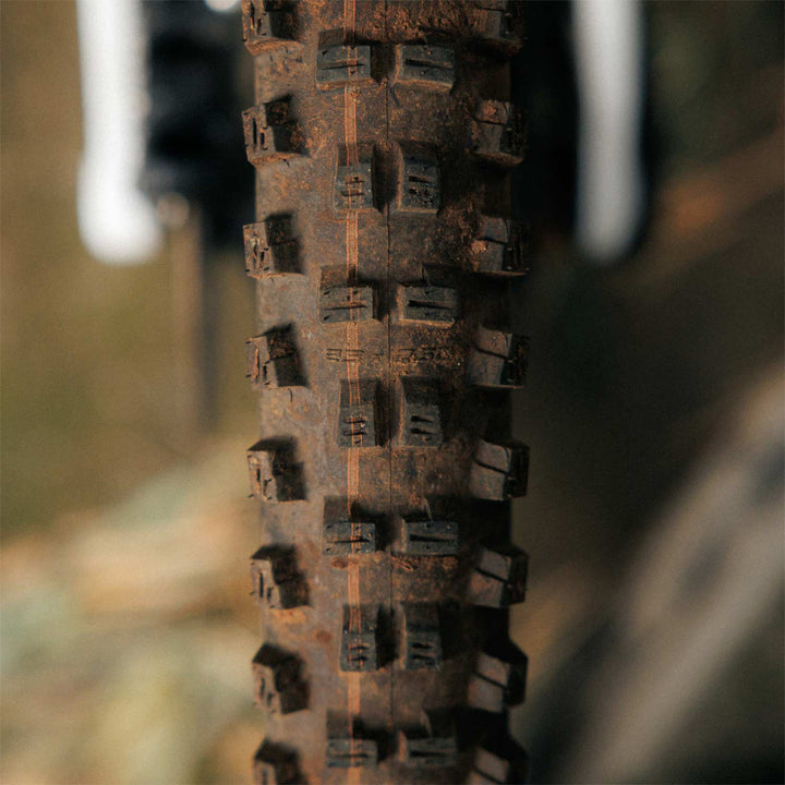 Schwalbe Tacky Chan Gravity Pro TLR Radial Mountain Bike Tyre