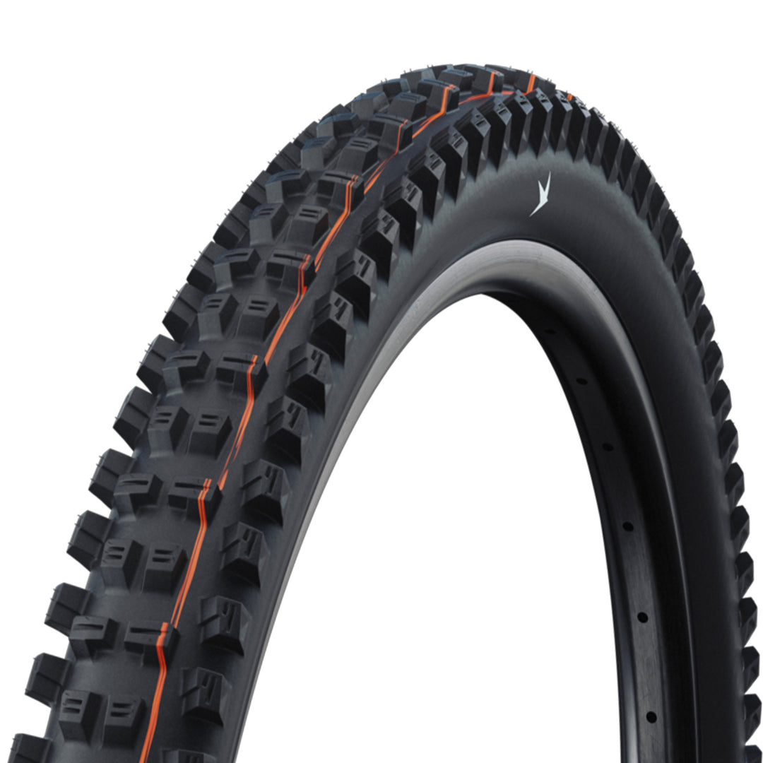 Schwalbe Tacky Chan Gravity Pro TLR Radial Soft Compound Mountain Bike Tyre
