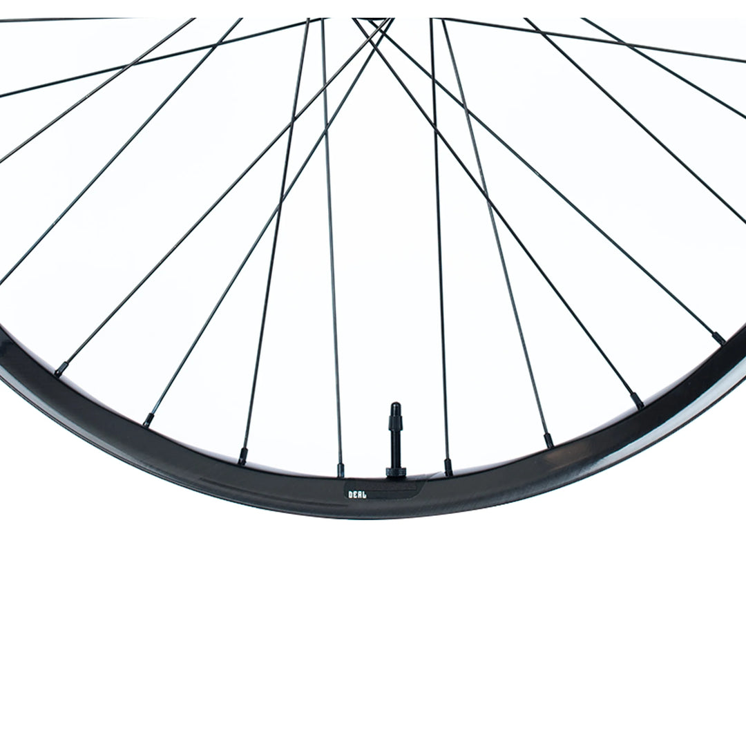 Deal Carbon DH Rim